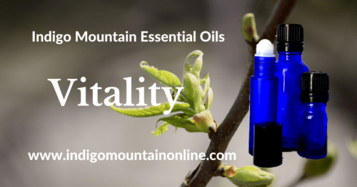 Vitality Essential Oil Synergy