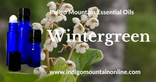 Wintergreen Essential Oil