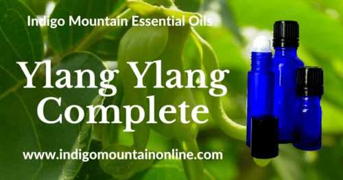 Ylang Ylang Complete Essential Oil